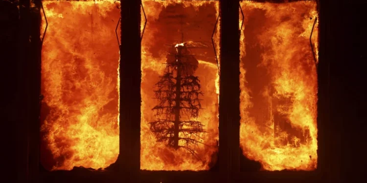 Afër 130,000 njerëz detyrohen të braktisin shtëpitë e tyre nga zjarret në Kaliforni, përderisa 5 mbesin të vdekur