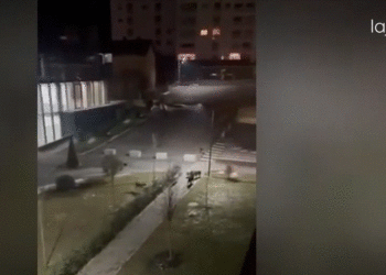 Kryeqyteti në hall nga qentë endacakë, banorët kërkojnë nga komuna një zgjidhje