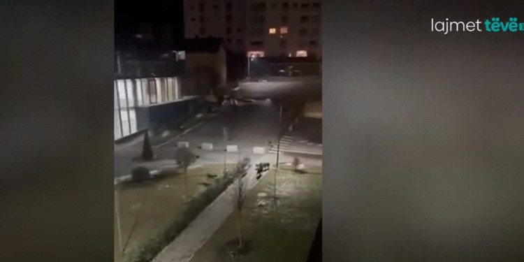 Kryeqyteti në hall nga qentë endacakë, banorët kërkojnë nga komuna një zgjidhje