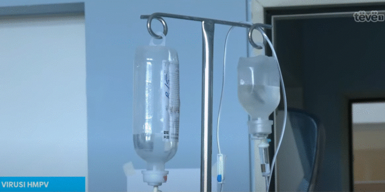 A po rrezikohet bota nga një pandemi e re?