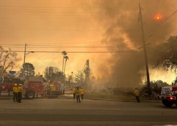 10 të vdekur nga zjarret në Los Angeles