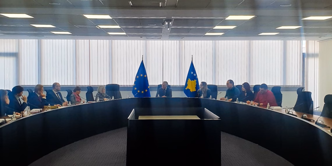 Bislimi takon delegacionin nga Parlamenti Evropian i cili po e vëzhgon procesin zgjedhor në Kosovë