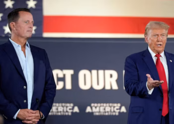 Grenell zyrtarisht merr detyrën e re