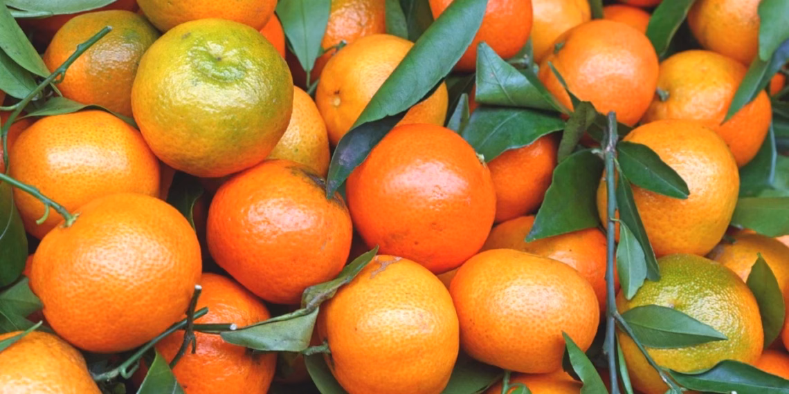 10 tonë mandarina me pesticide u shitën në Shqipëri, arrestohen tre persona