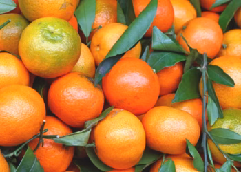 10 tonë mandarina me pesticide u shitën në Shqipëri, arrestohen tre persona