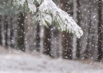 Mot i ftohtë dhe me fjolla bore në 17 vjetorin e pavarësisë