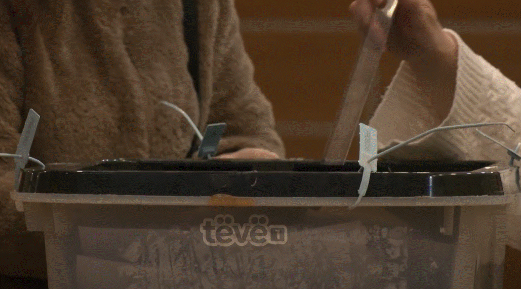 Për katër vite, ulet përqindja e pushtetit dhe ngritet e opozitës