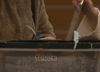 Për katër vite, ulet përqindja e pushtetit dhe ngritet e opozitës