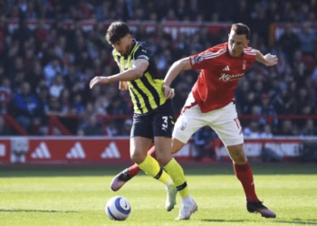 Zelanda e Re kualifikohet në Botëror