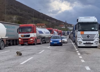 ​Rriten shkëmbimet tregtare Shqipëri–Kosovë, kërkohen më shumë lehtësira në kufi