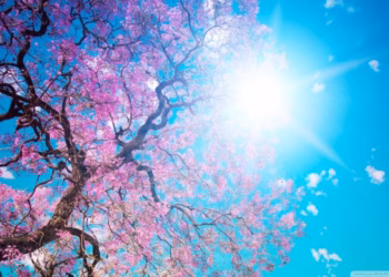 E shtuna mot me diell