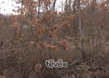 U gjet i groposur në mal, trupi i Bekim Varit prej pesë javësh në IML