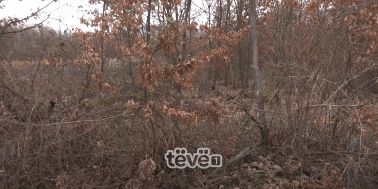 U gjet i groposur në mal, trupi i Bekim Varit prej pesë javësh në IML