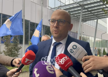 Sarrazin: Kosova të formojë qeverinë për të vazhduar dialogun me Serbinë