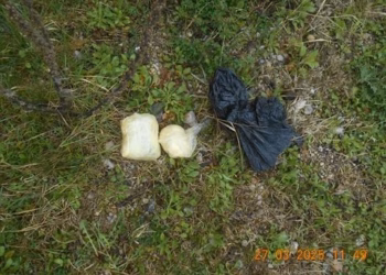 Parandalohet futja e drogës në Burgun e Dubravës