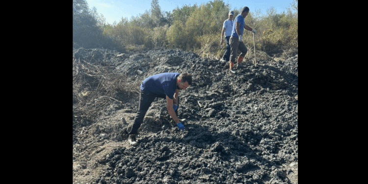Identifikohen trupat e shtatë viktimave të zhdukur gjatë luftës së fundit në Kosovë