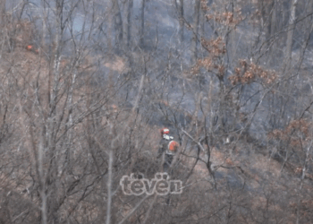 Zjarrfikësit e rinj në aksion për fikjen e zjarreve