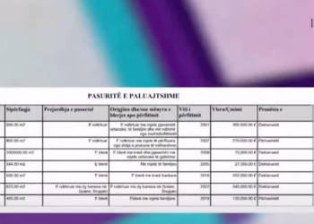 Sa kanë pasuri liderët opozitarë?