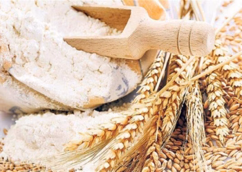 Pas shtrenjtimit të rrymës, paralajmërohet rritje e çmimit të miellit