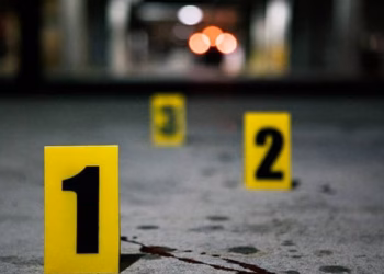 18 vjeçari i dyshuar për vrasjen e rreshterit Lika ishte dënuar për dhunim