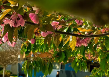 ​Parashikimi i motit për sot