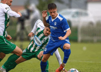 Pa fitues në Malishevë