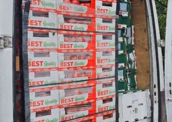 Ndalohen shtatë automjete me mallra të dyshuara për tregti ilegale në Leposaviq