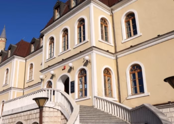 Dita Ndërkombëtare e Muzeut