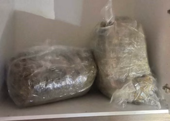 Në dy raste të ndara, arrestohen dy të dyshuar për posedim të narkotikëve