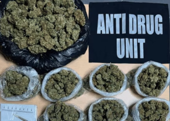 Policia arreston dy persona dhe konfiskon sasi të substancave narkotike në vlerë 3 mijë euro