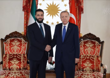 Presidenti turk takohet me homologun sirian në Stamboll