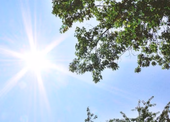 Parashikimi i motit për sot