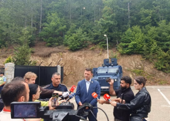 AME dhe Policia japin detaje për trupin e pajetë të gjetur në Liqenin e Ujmanit