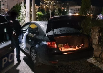 Aksion kundër lojërave të fatit, arrestohen 34 persona dhe mbyllen 15 lokale