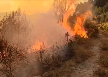 Zjarri në Dukat të Vlorës rrezikon Parkun e Llogorasë, ndërhyrje nga ajri me helikopter