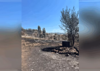 Mbi 600 raste zjarri gjatë javës në Kosovë, rrezikuan seriozisht jetën e njerëzve