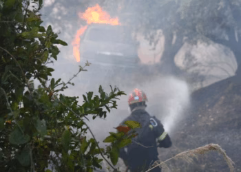 Zjarre të shumta në Greqi, 82 të reja të martën