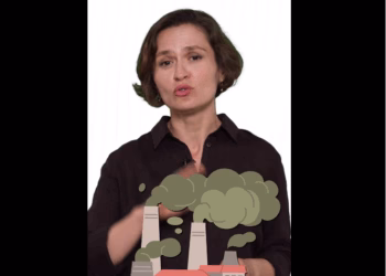 Shahini premton mbjelljen e 100 mijë pemëve në Prishtinë