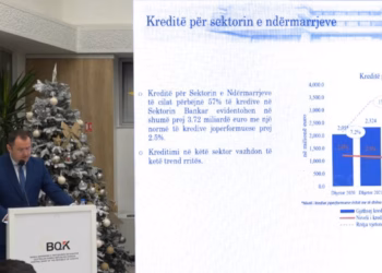 Guvernatori i Bankës Qendrore: Presim që viti të mbyllet me rritje prej 3.9 për qind