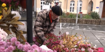 13 vite kujdes për lule në vend të lapidarit – Plaku nga Presheva që nuk lejon të harrohen dëshmorët