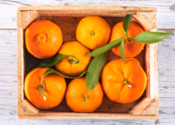 Sa mandarina duhet të hani për një dozë të mirë të vitaminës C?