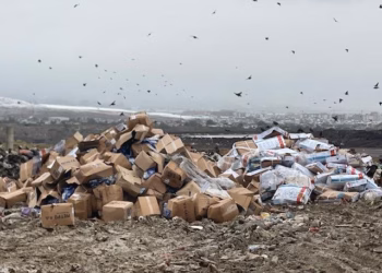 Asgjësohen mbi 2 mijë kilogramë mish pule me bakterien salmonella