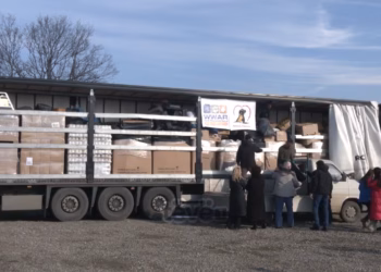 Holanda ndihmon qentë endacakë në Kosovë me donacion prej 170 mijë eurosh