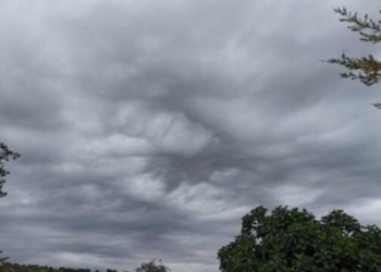 Parashikimi i motit për sot