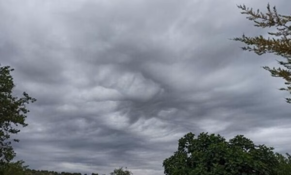 Parashikimi i motit për sot