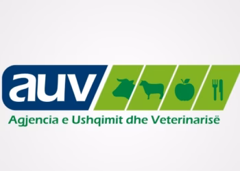 AUVK po lëngon për inspektorë dhe askush në Kosovë nuk e dëgjon
