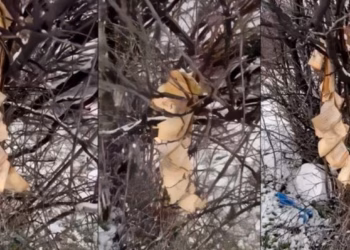 Dëmtohet Kurani në Gjakovë, policia nis hetimet