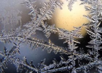 Ngricat në trotuare dërgojnë 170 persona në spital në Maqedoni të Veriut