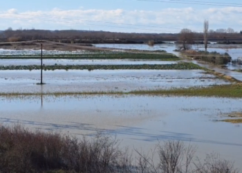 Çarja e argjinaturës të lumit Seman përmbyt toka bujqësore dhe banesa në Fier
