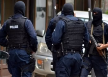 Aksioni i antidrogës në Suharekë: Tre të arrestuar, konfiskohen kokainë e armë